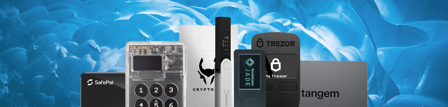 Руководство по выбору аппаратного кошелька на 2024 год